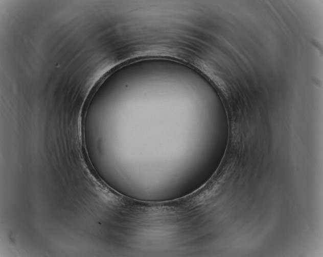 X0000091300988200708241047