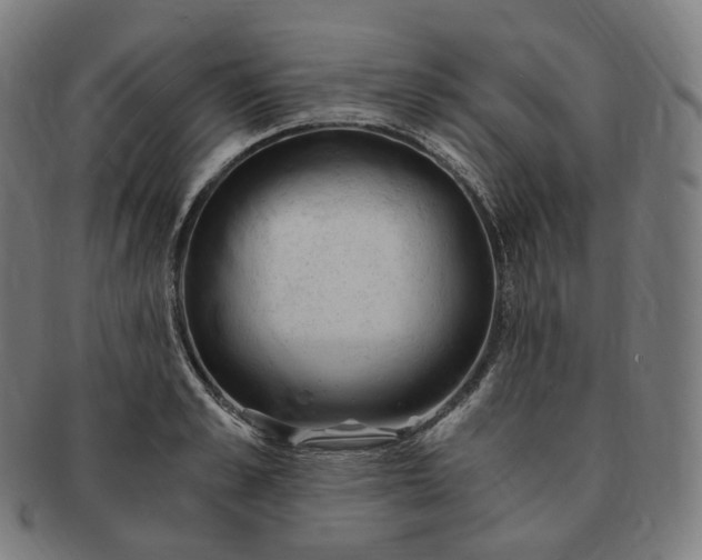 X0000091300989200708241047