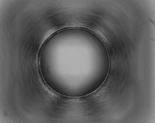 X0000091300990200708241047