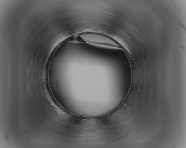 X0000091300991200708241047