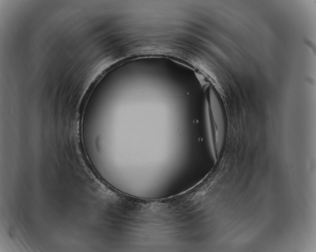 X0000091300992200708241047