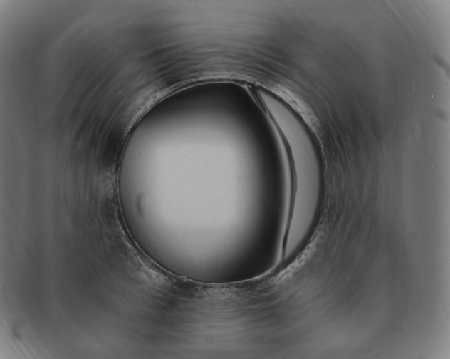 X0000091300993200708241047