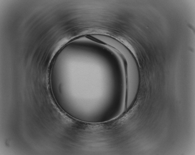 X0000091300997200708241047