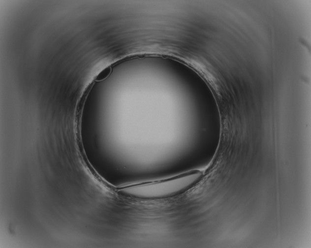 X0000091300998200708241047