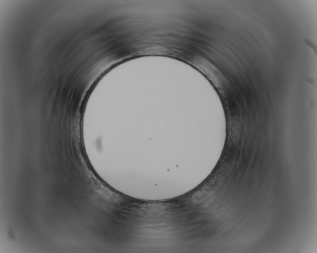 X0000091301000200708241047