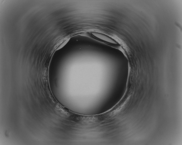 X0000091301001200708241047