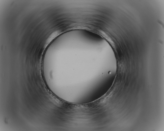 X0000091301002200708241047