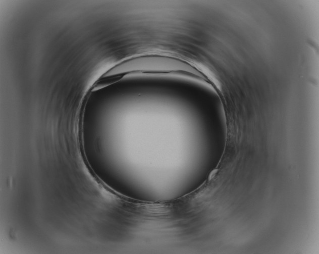 X0000091301007200708241047