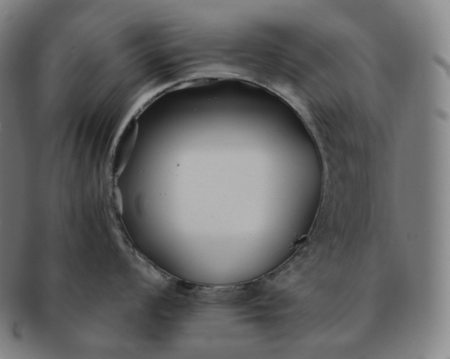 X0000091301008200708241047