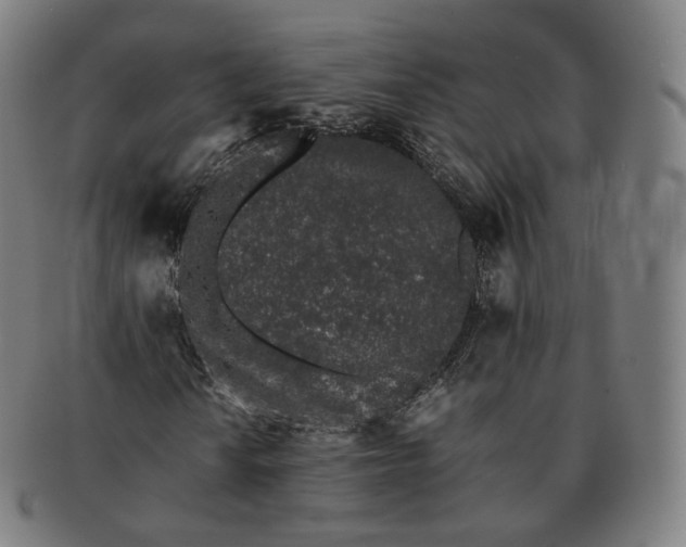 X0000091301010200708241046