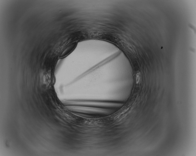 X0000091301011200708241046