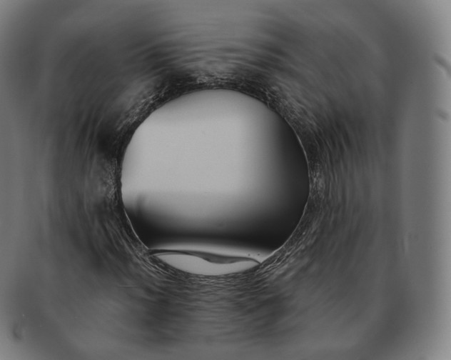 X0000091301012200708241046