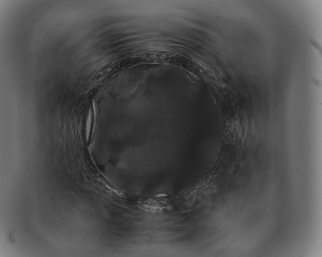 X0000091301013200708241046