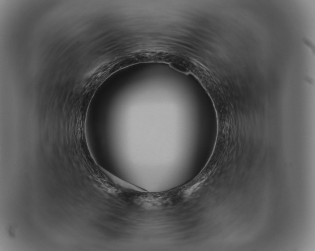 X0000091301014200708241046