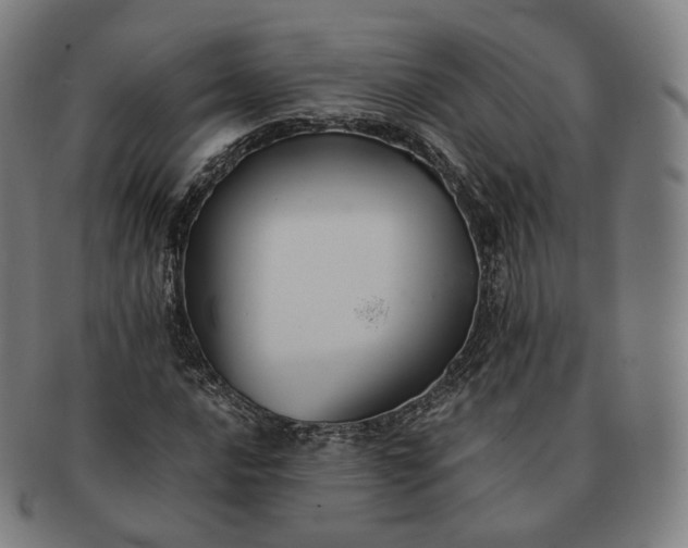 X0000091301016200708241046