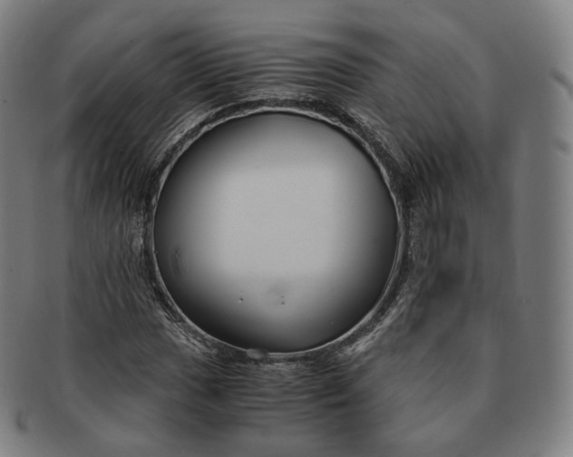 X0000091301017200708241046