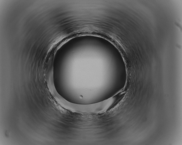 X0000091301018200708241046