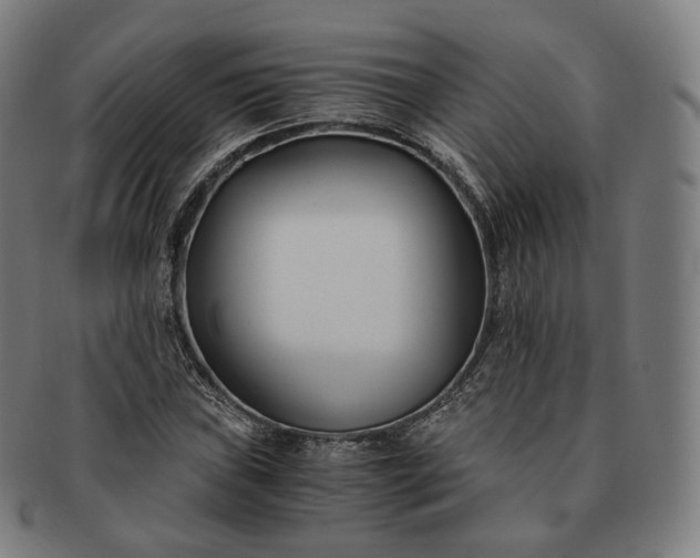 X0000091301019200708241046