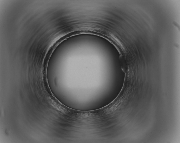 X0000091301020200708241046