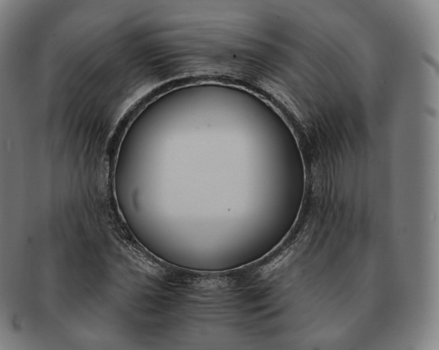 X0000091301021200708241046