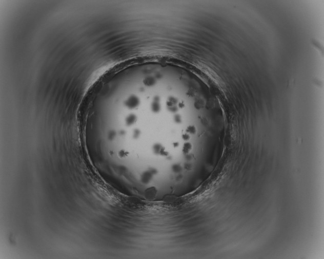 X0000091301022200708241046