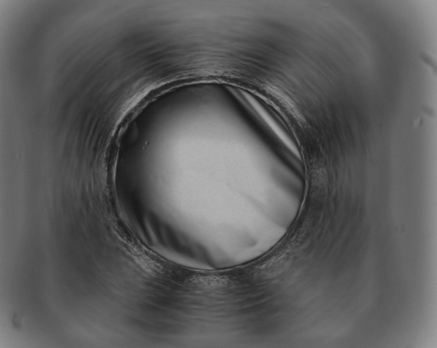 X0000091301023200708241046