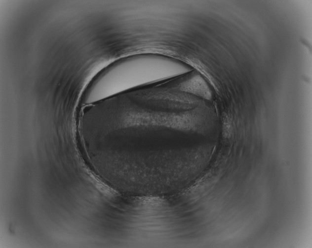 X0000091301024200708241046