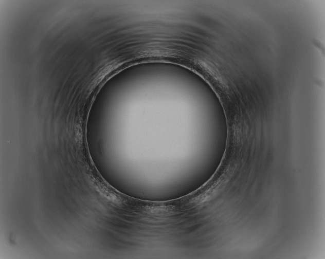 X0000091301025200708241046