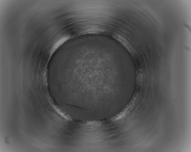 X0000091301026200708241046