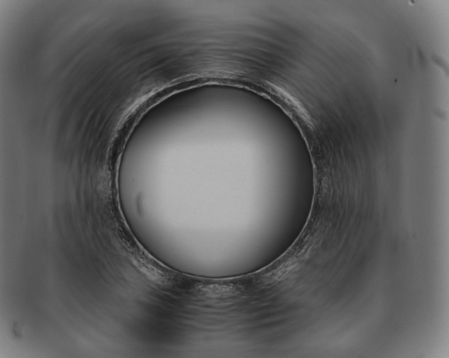 X0000091301027200708241046