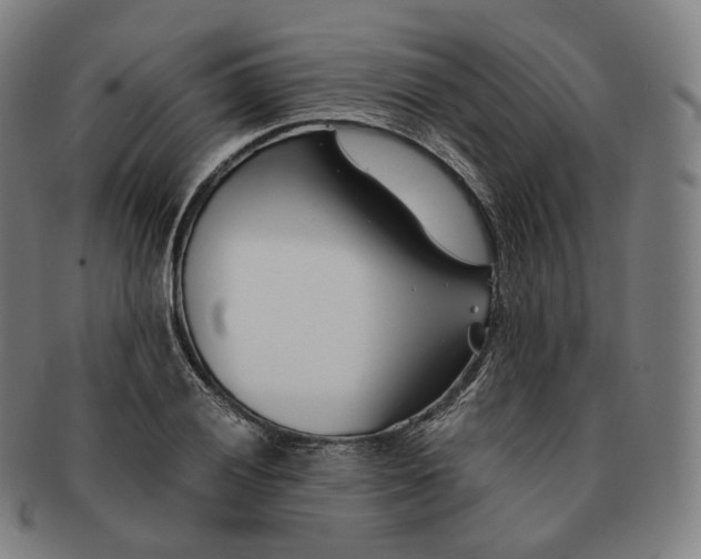 X0000091301028200708241046