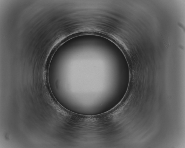 X0000091301029200708241046