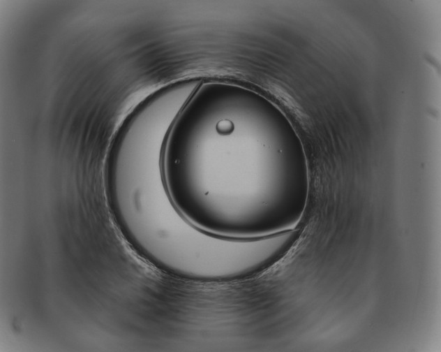 X0000091301030200708241046