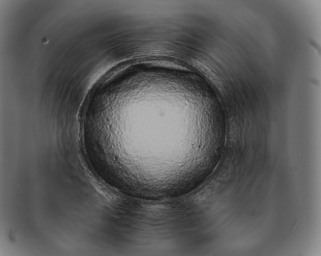 X0000091301031200708241046