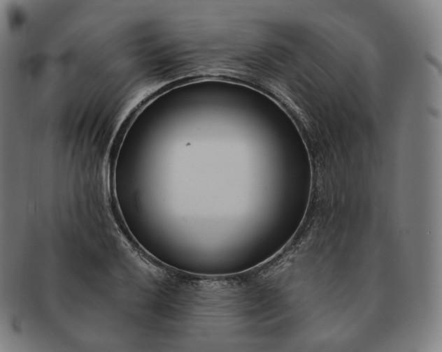 X0000091301032200708241046