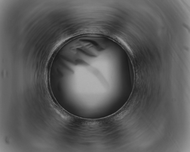 X0000091301035200708241046