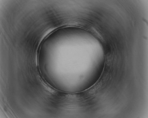 X0000091301036200708241046