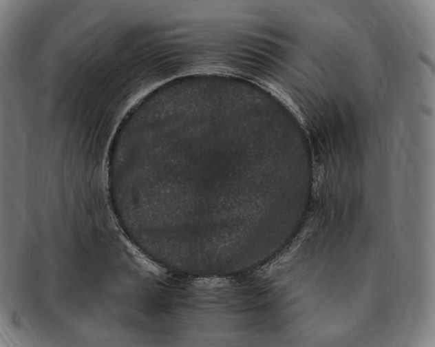 X0000091301037200708241046