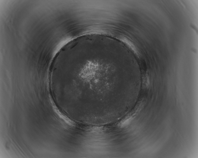 X0000091301038200708241046