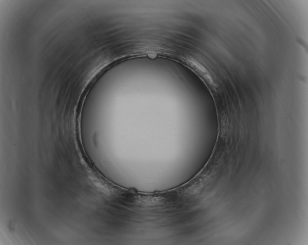 X0000091301039200708241046