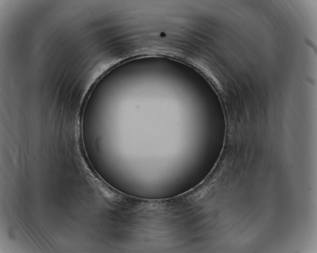 X0000091301040200708241046