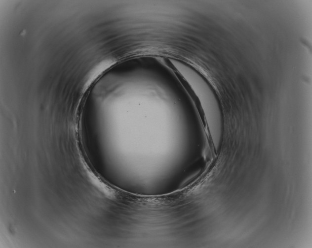 X0000091301042200708241046