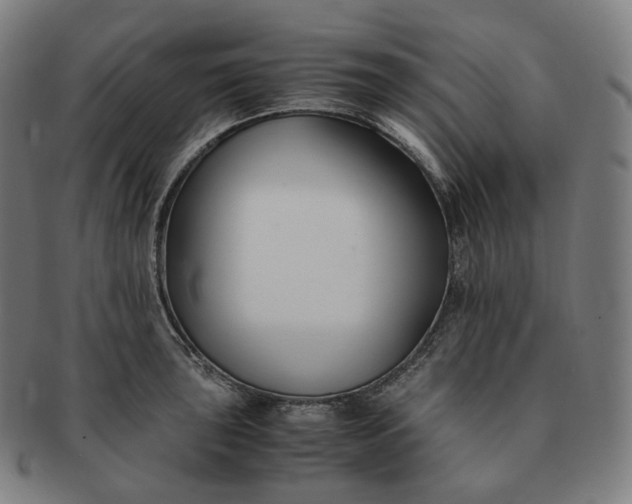 X0000091301043200708241046