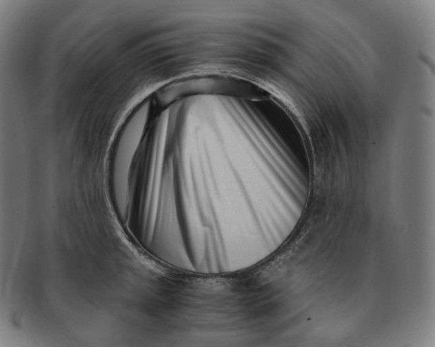 X0000091301045200708241046