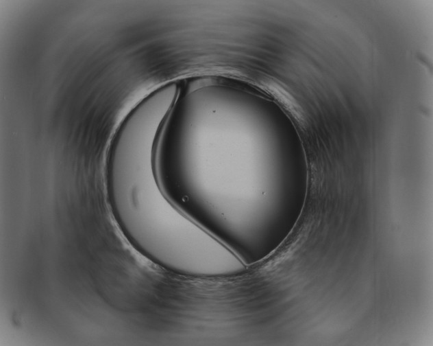 X0000091301046200708241046