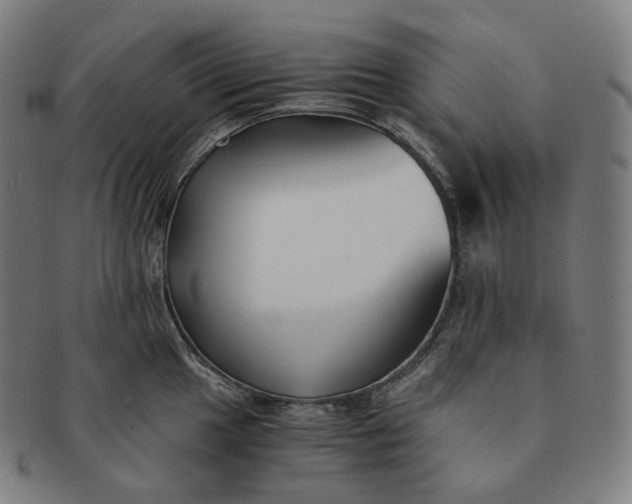 X0000091301049200708241046