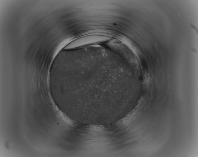 X0000091301050200708241047