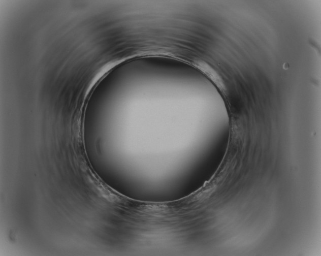 X0000091301052200708241047