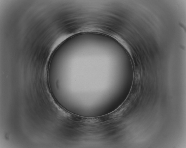 X0000091301053200708241047