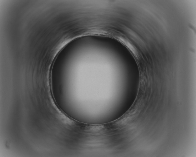 X0000091301055200708241047